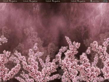 Velvet Magnolia (altrosa) - Bordüre - Jersey